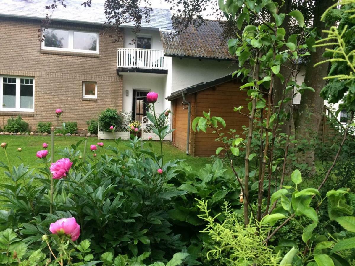 Fewo An Der Muehle Hasselberg  Exterior foto